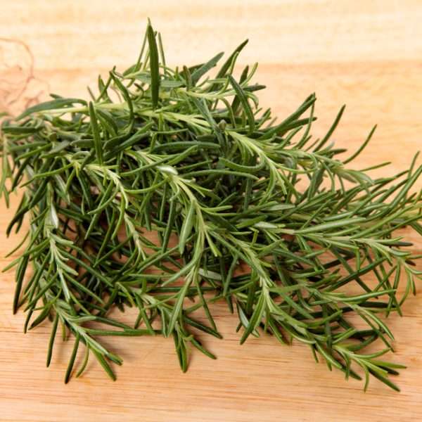 The Wonders of Rosemary: A Comprehensive Guide to…